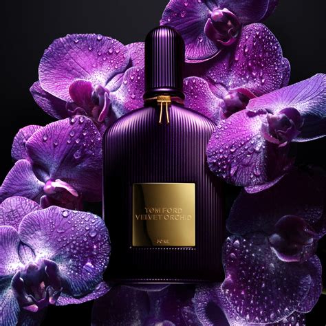 tom ford velvet orchid fragrantica.